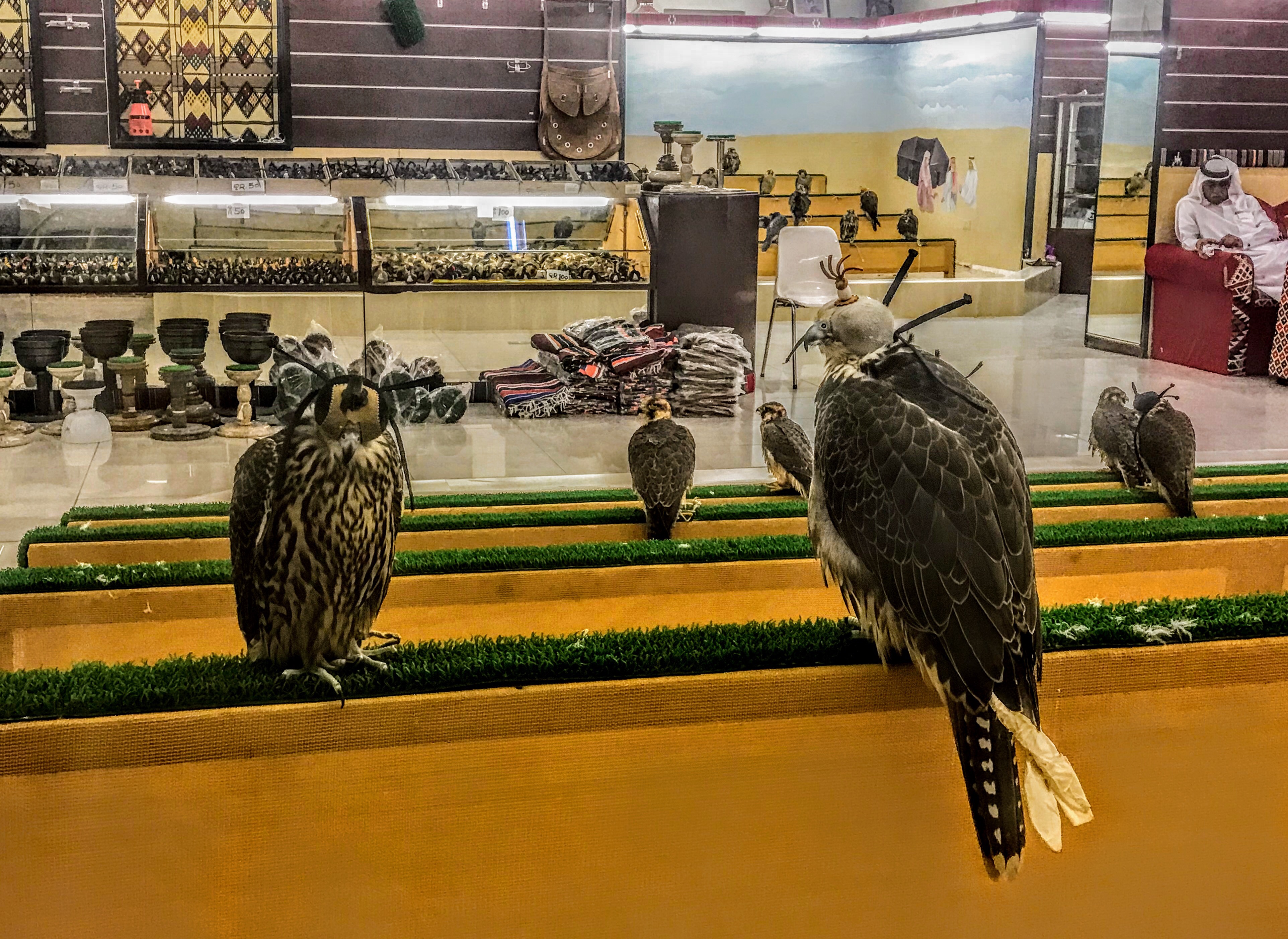 Falcon Souq, Doha, Qatar