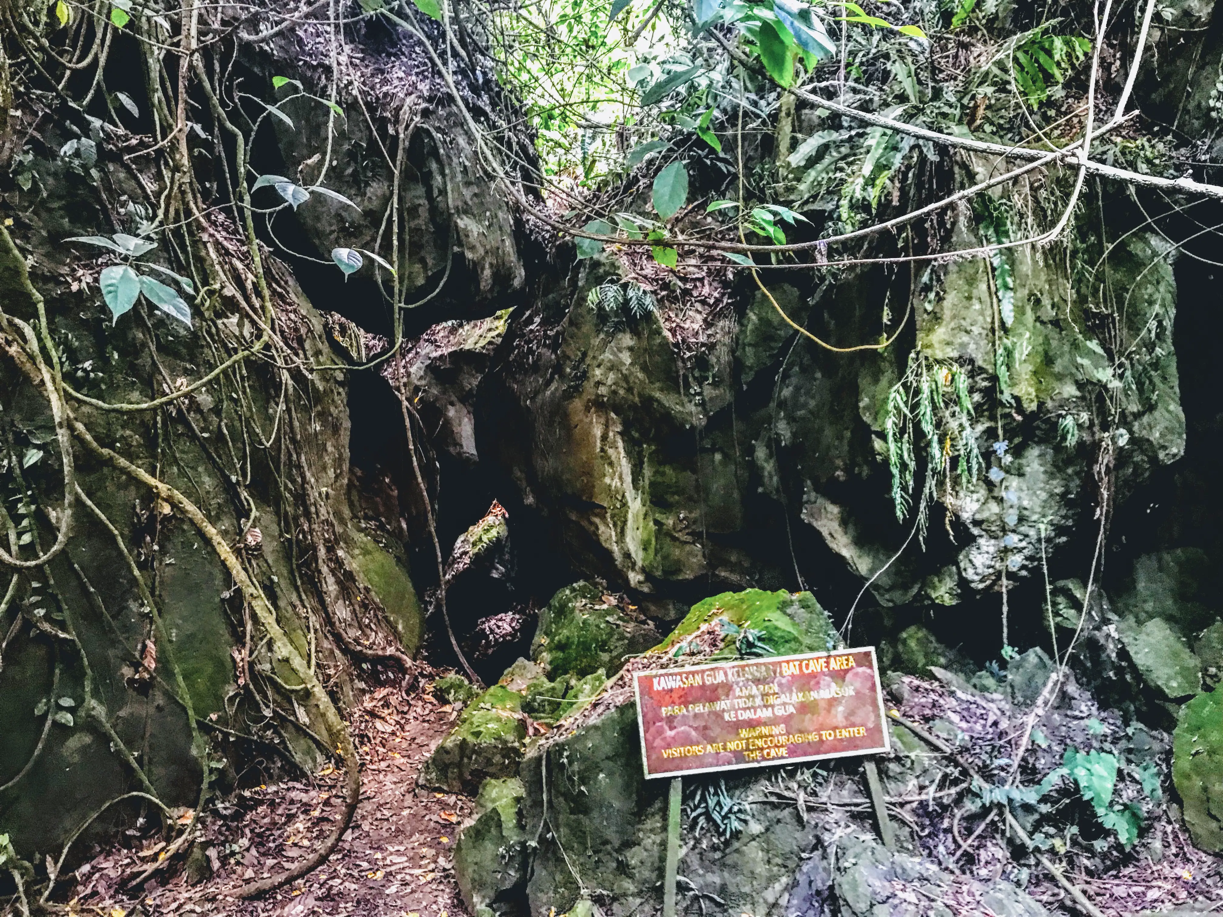 Bat cave at Poring Hot Springs, Borneo, Malaysia