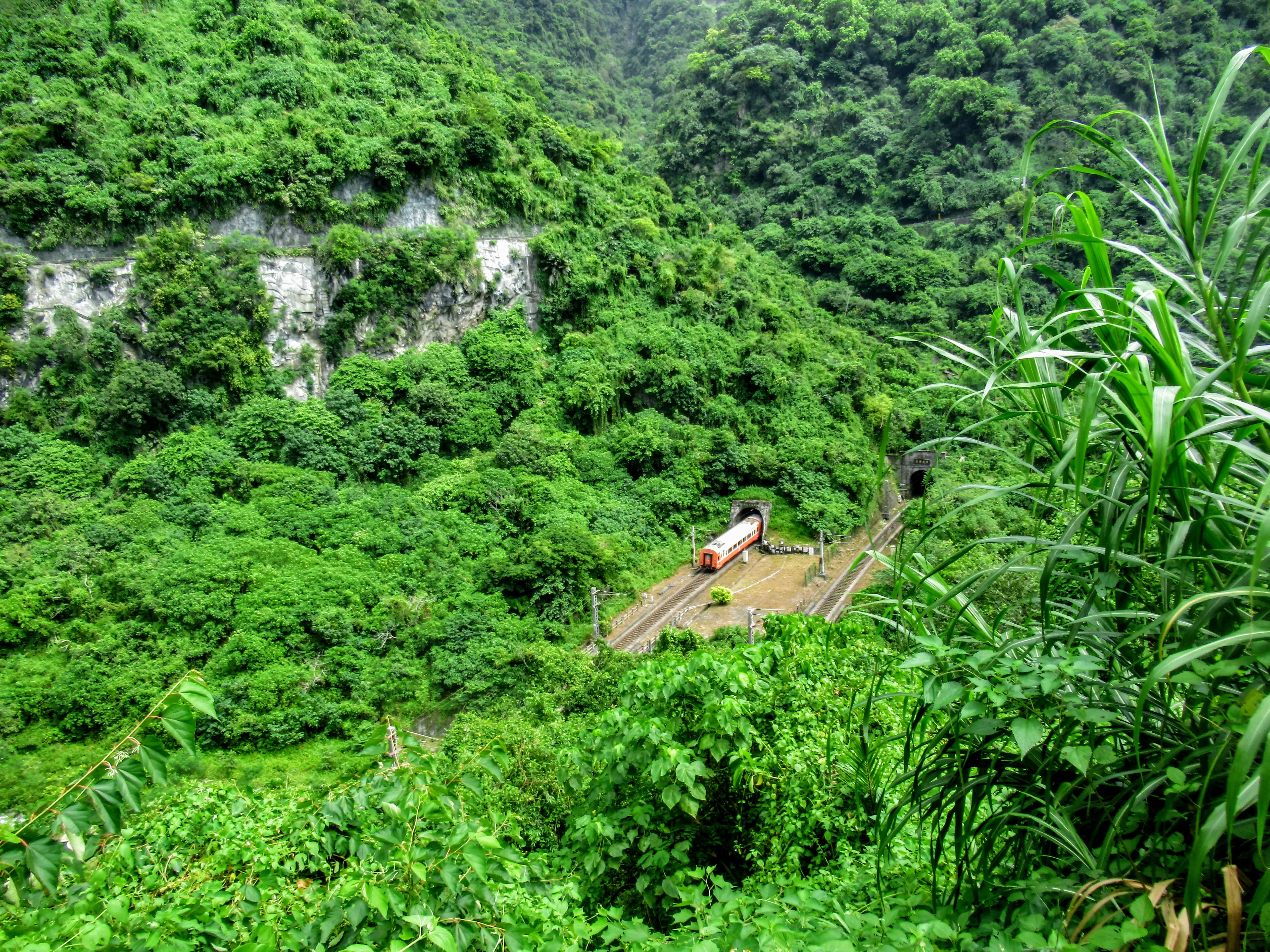Train near Qingshui Cliff, Hualien, Taiwan
