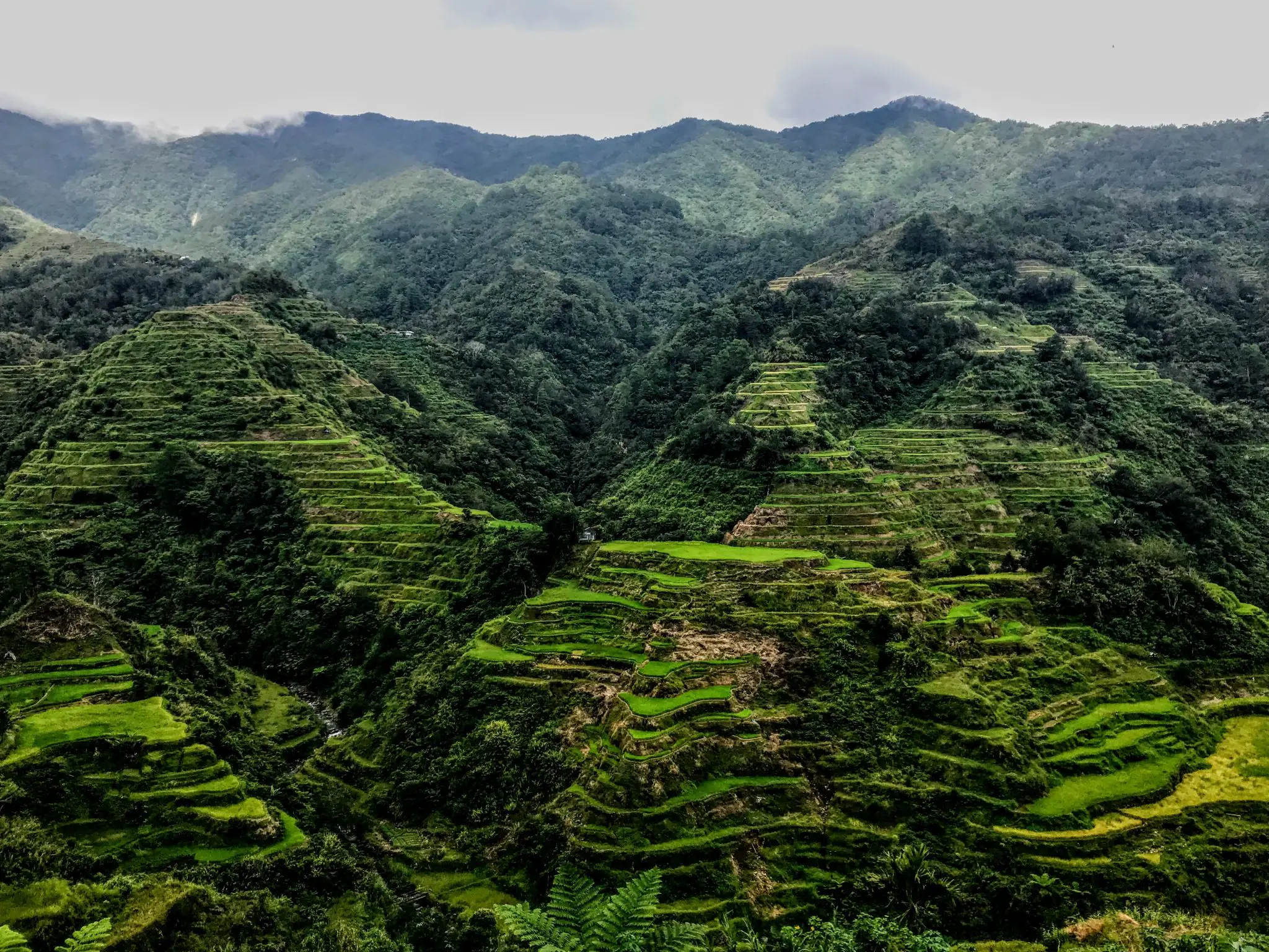 UNESCO-listed Ifugao rice terraces in North Luzon