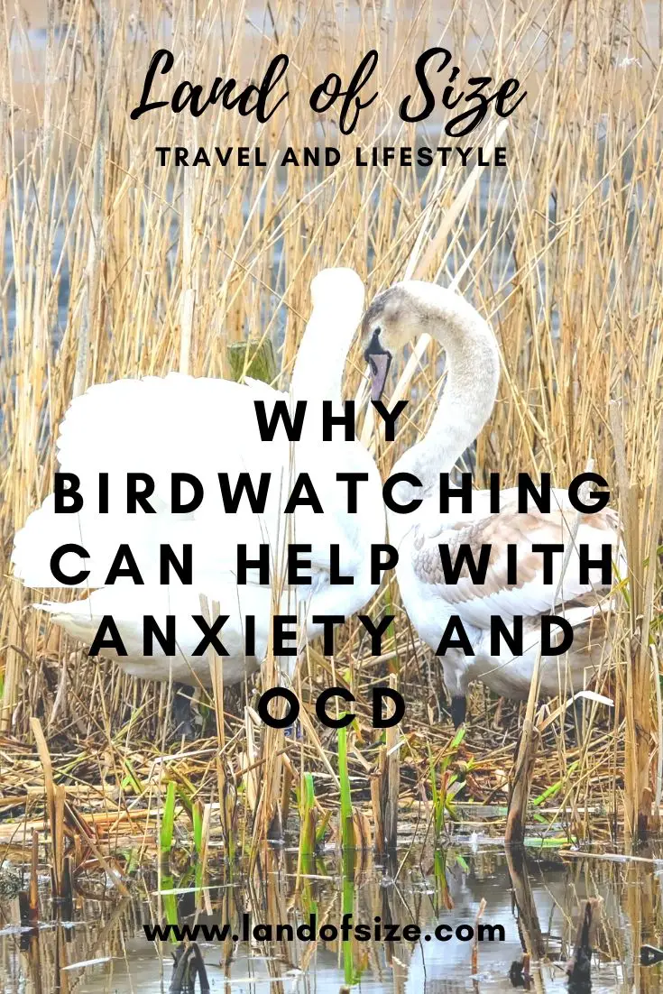Why birdwatching can help with anxiety and OCD