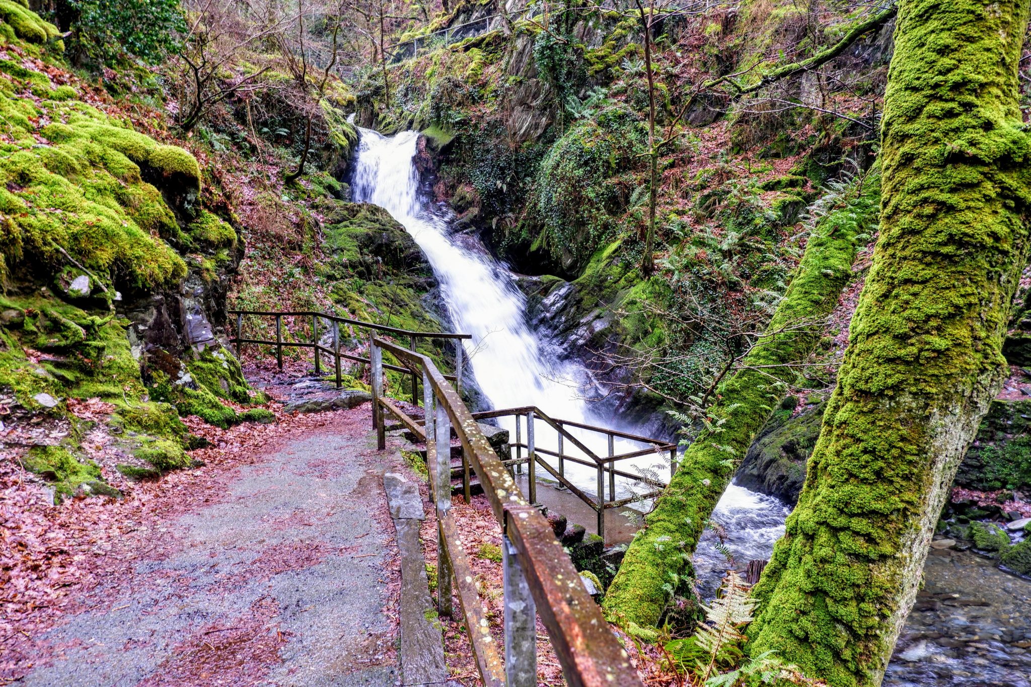 Dolgoch Waterfalls, Bryncrug, Wales