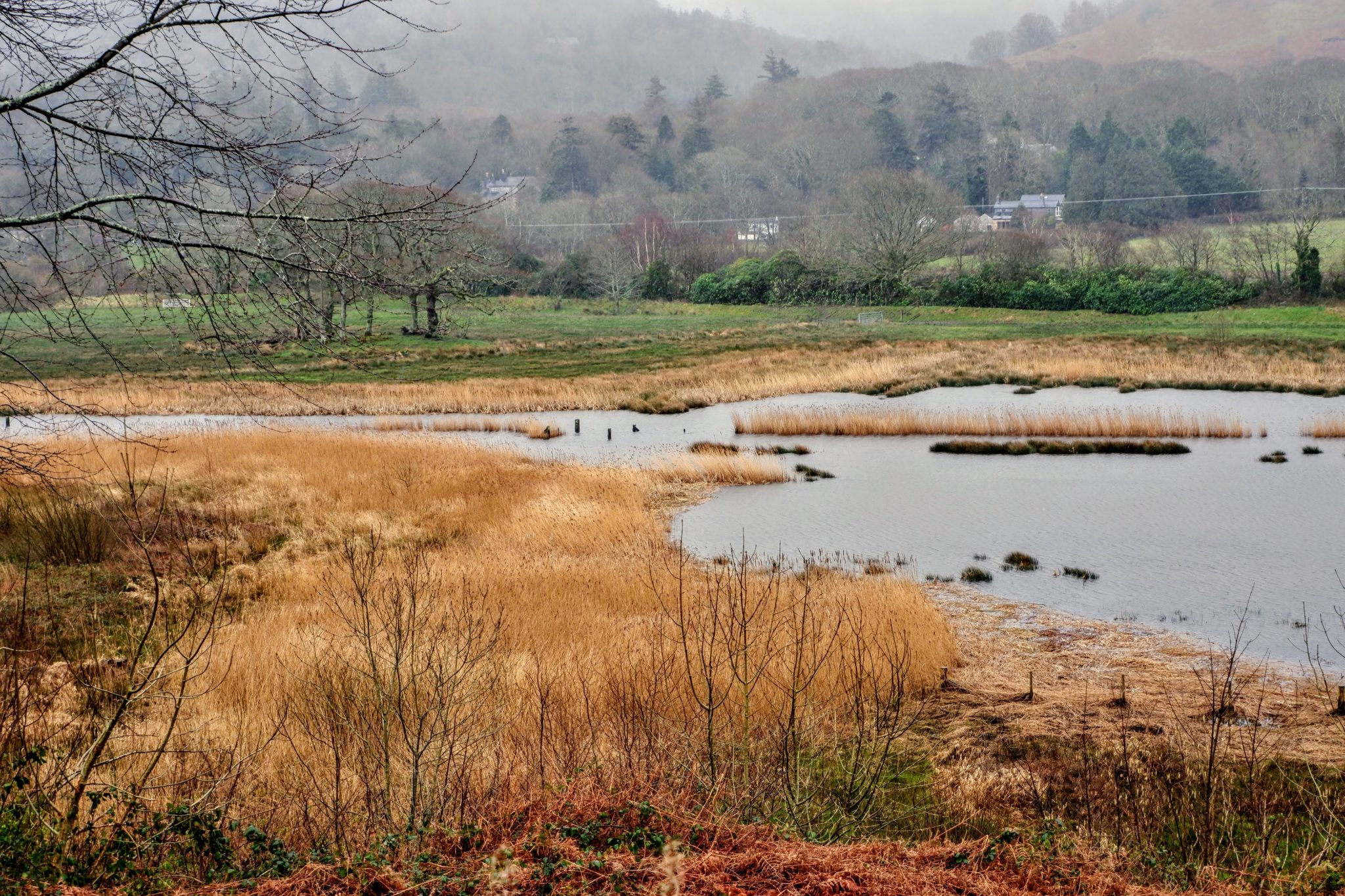 RSPB Ynys-hir Reserve, Powys, Wales