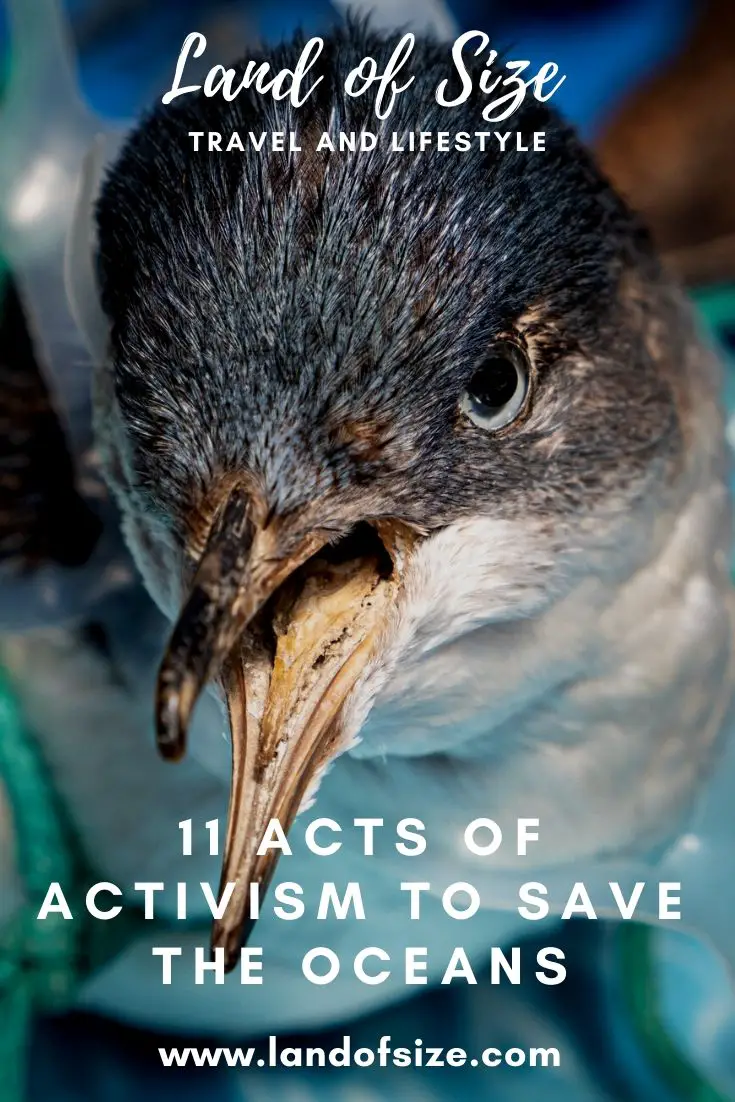 11 acts of activism to save the oceans