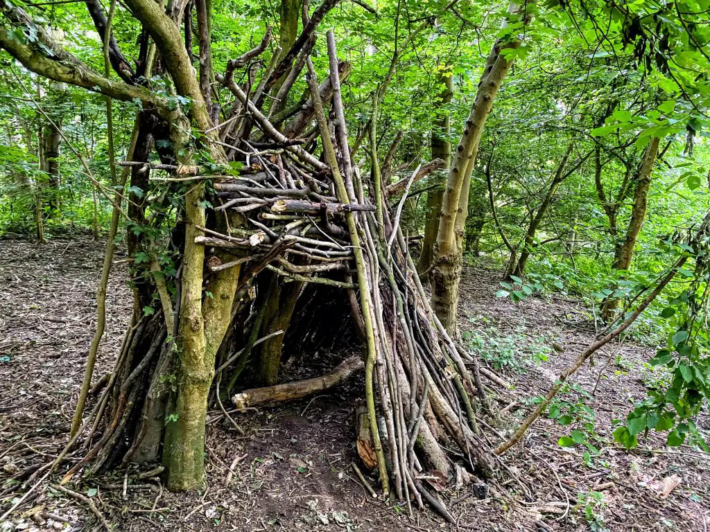 Den in Kenworthy Woods, Manchester