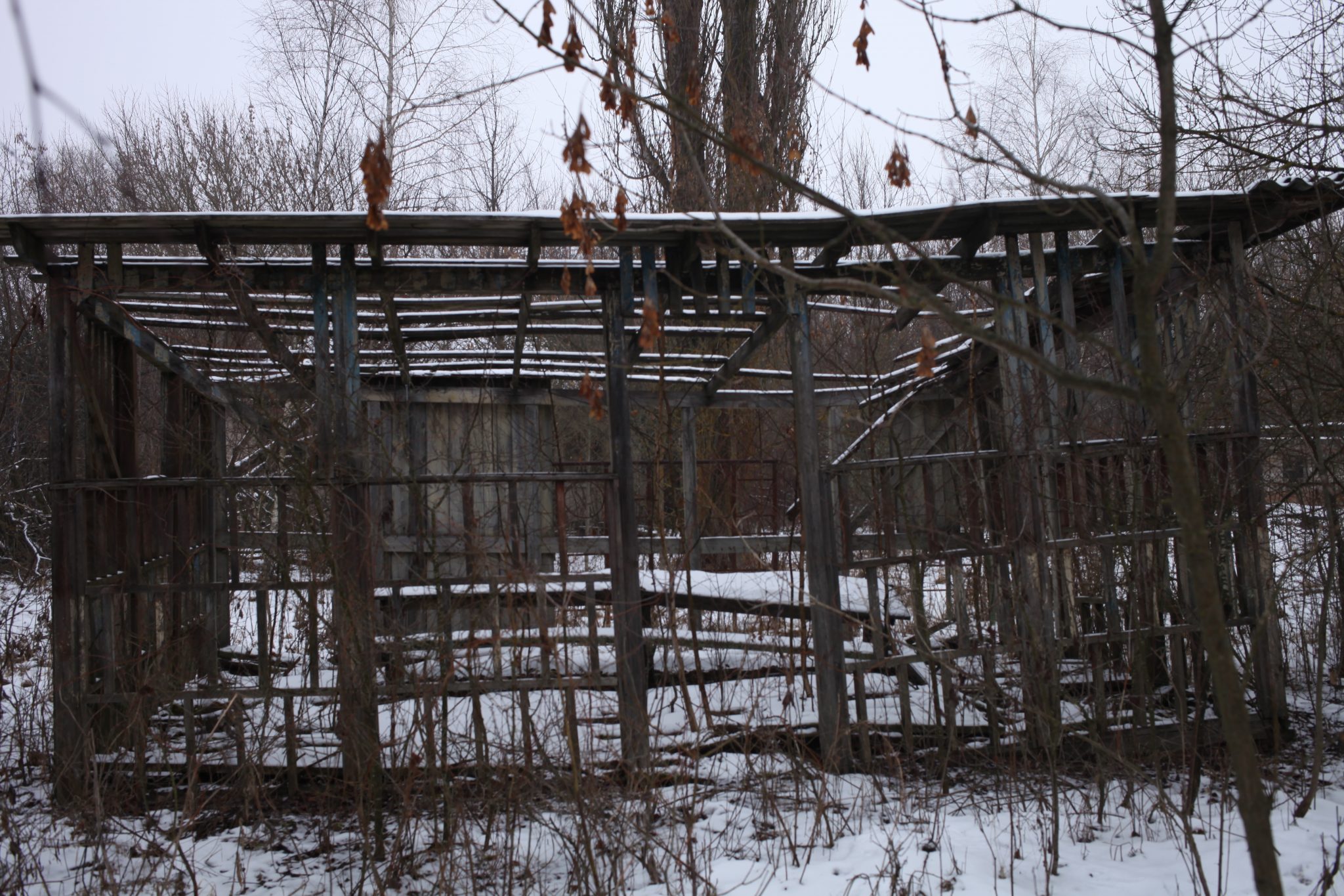 Abandoned school in Zalissya