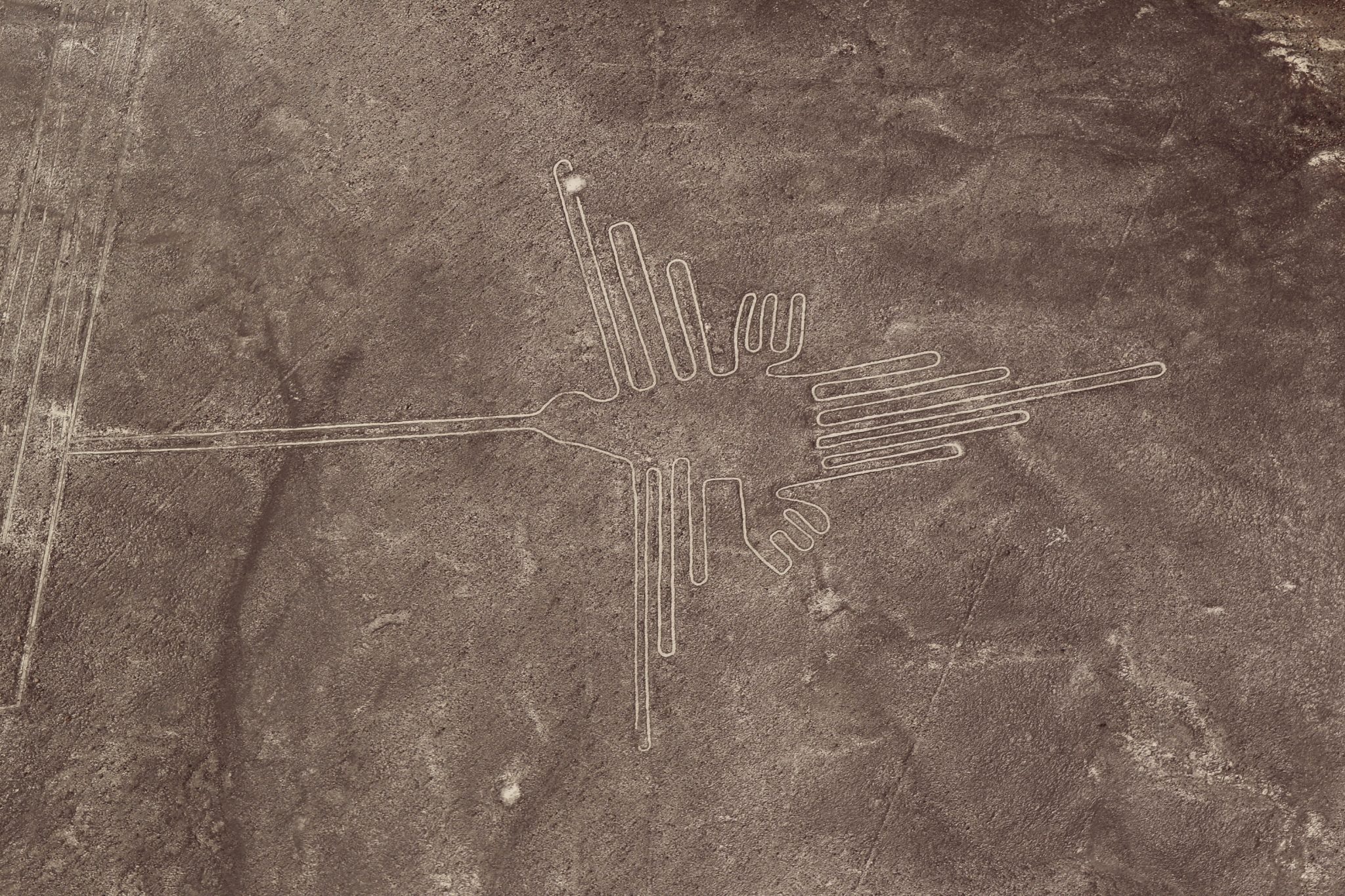 Nazca Lines - Hummingbird