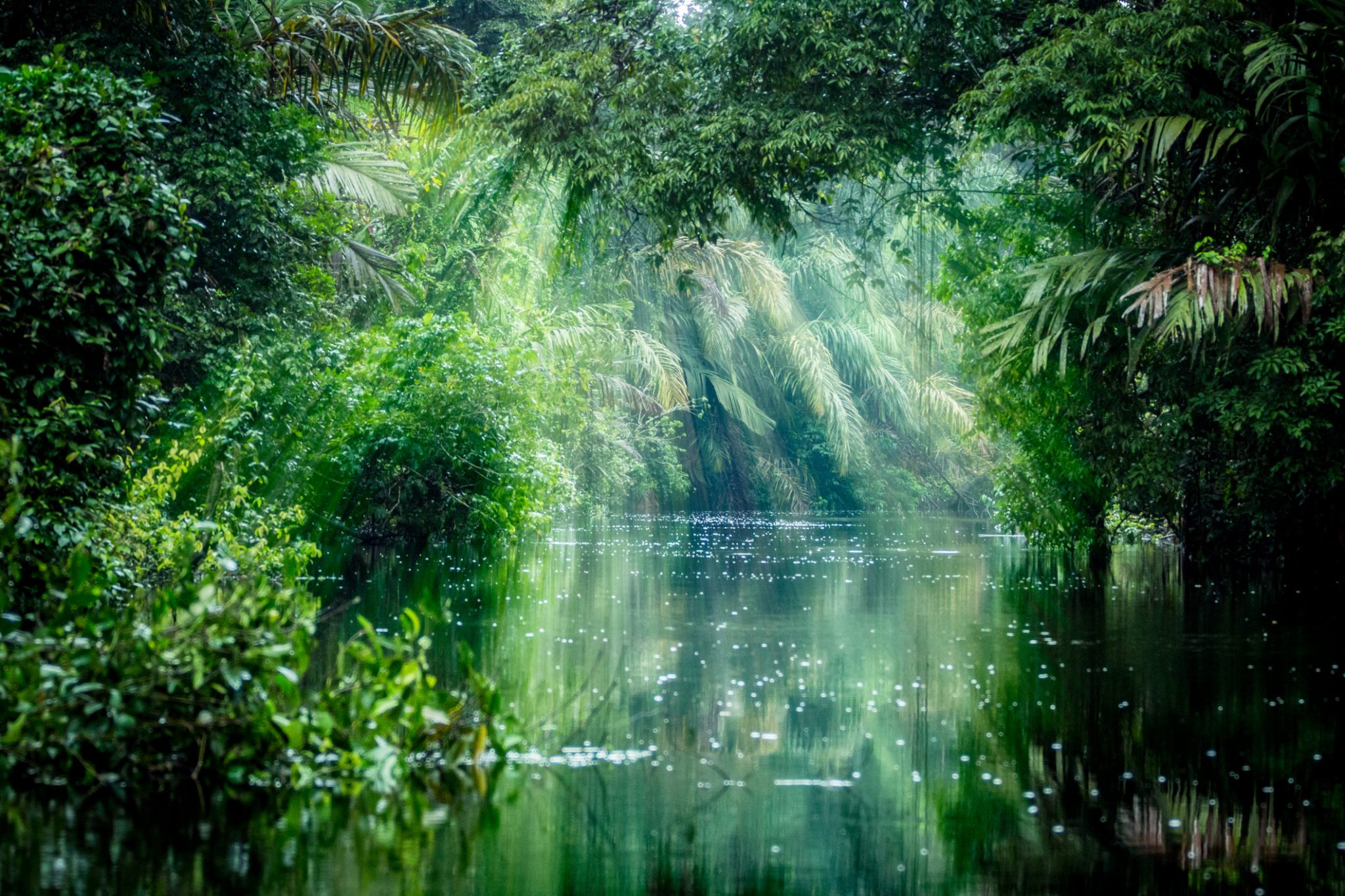 Tortuguero, Costa Rica.