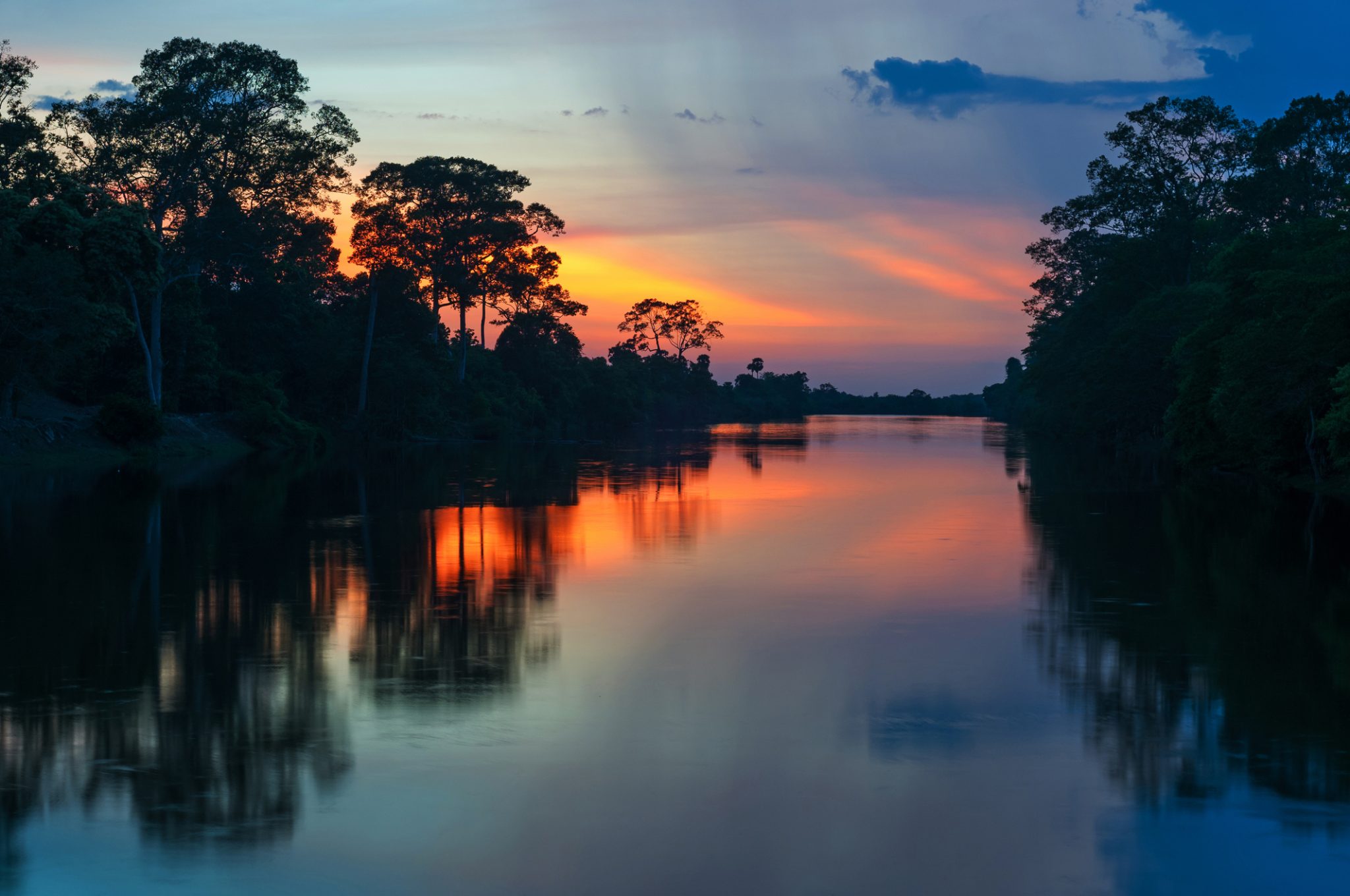 amazon rainforest sunset