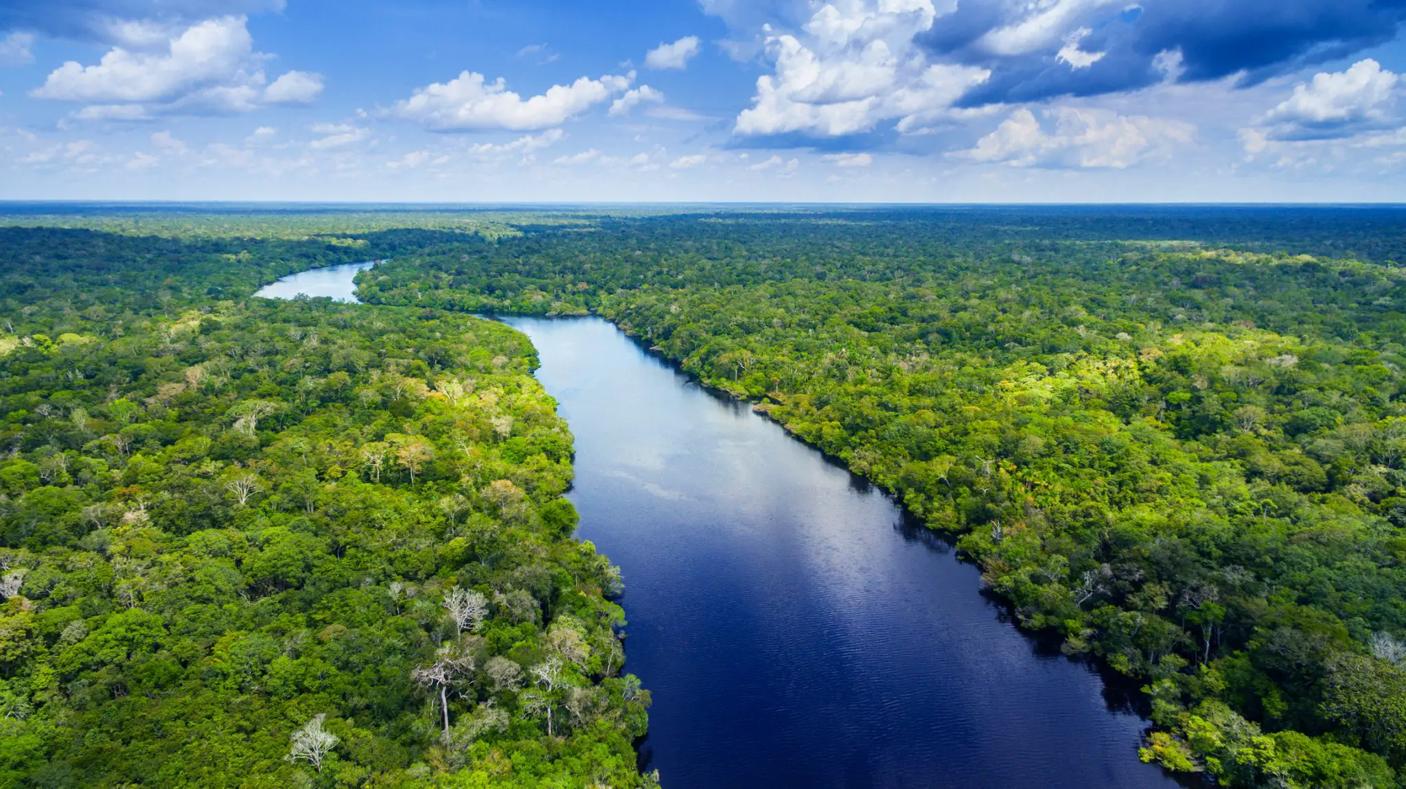 The Amazon river