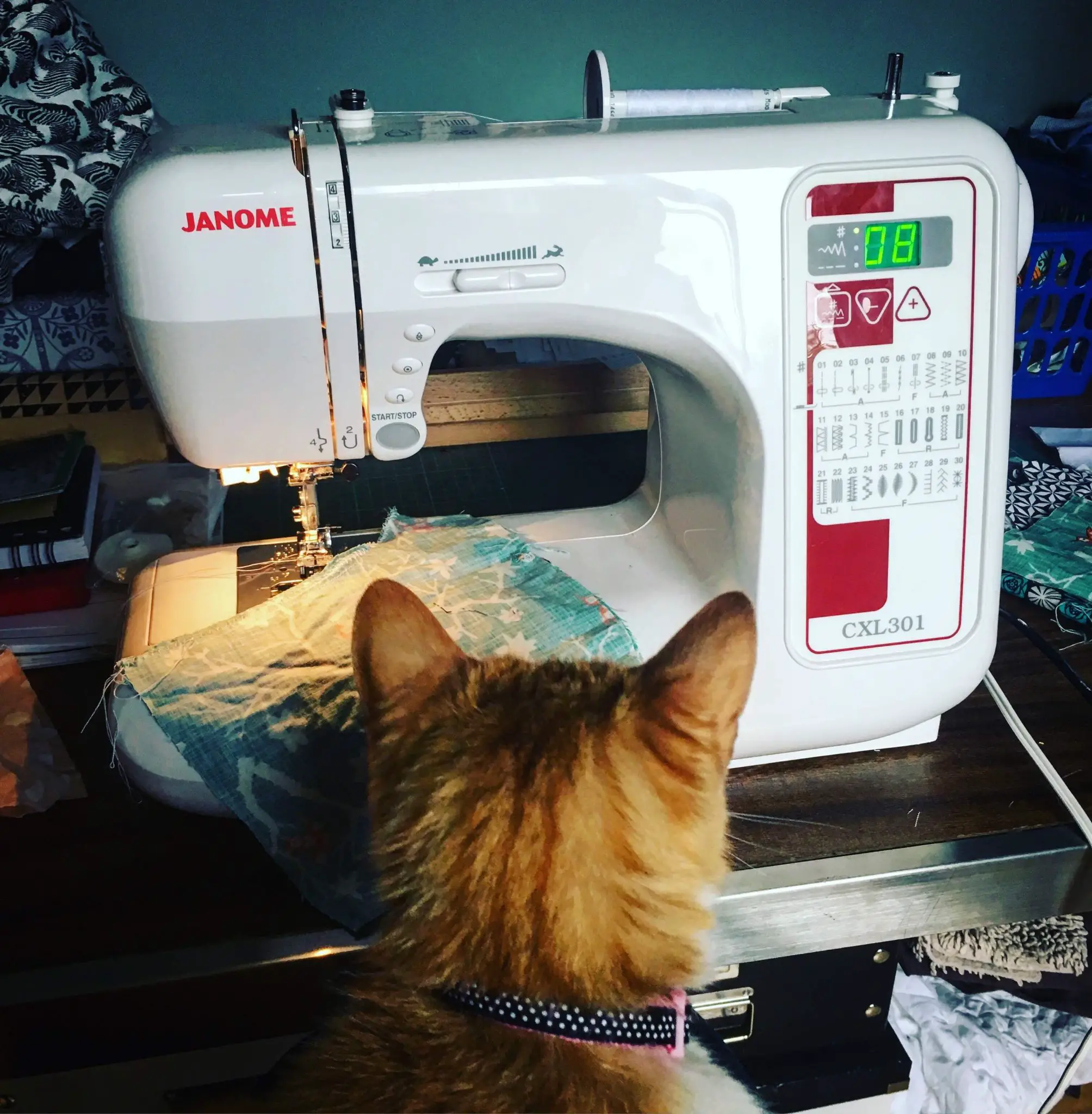 Cat and a sewing machine
