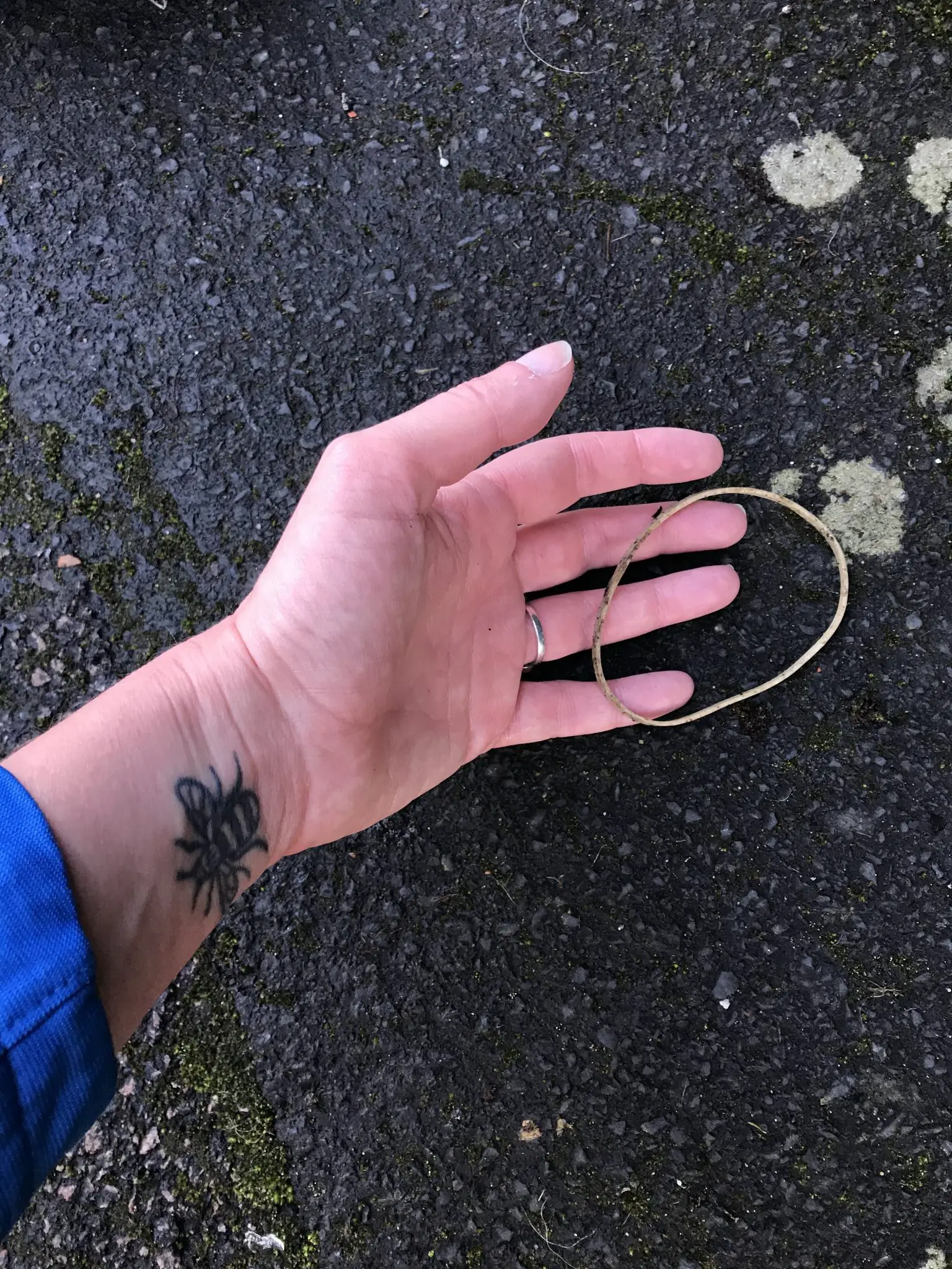 Elastic band on the ground