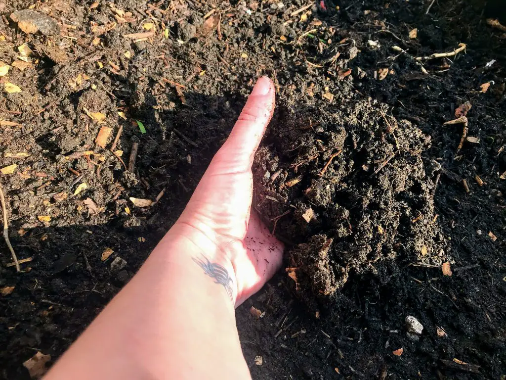 7 reasons to use peat-free compost in your garden - Land of Size