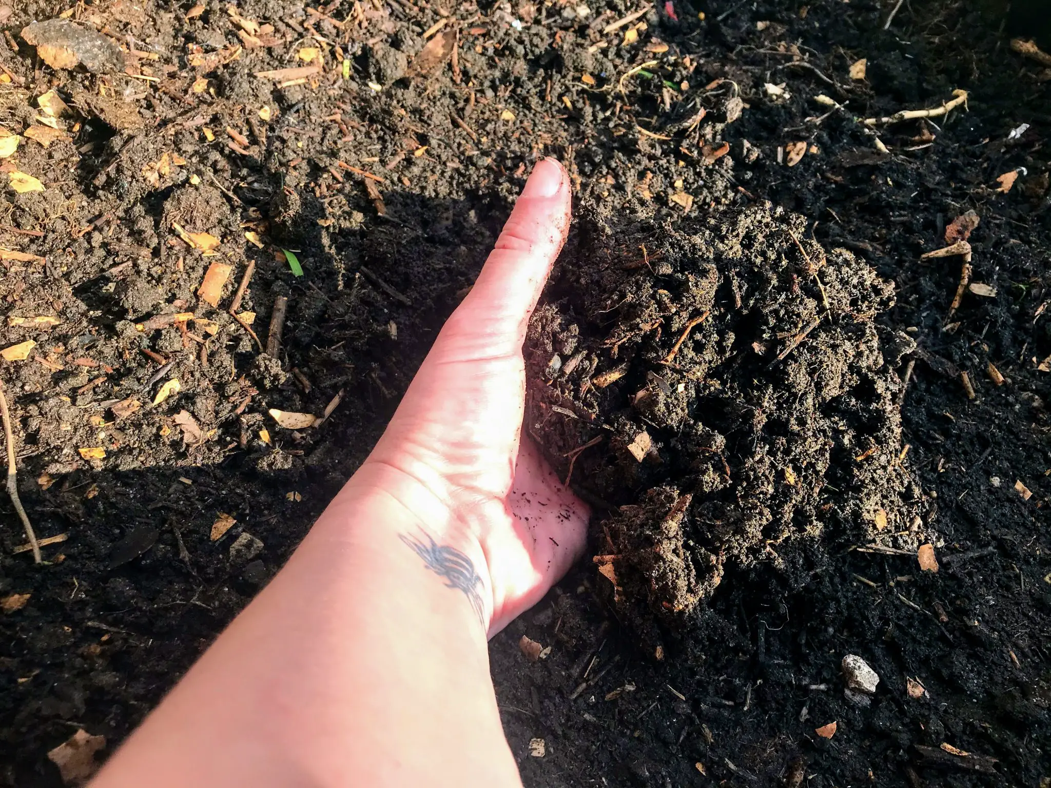 7 reasons to use peat-free compost in your garden
