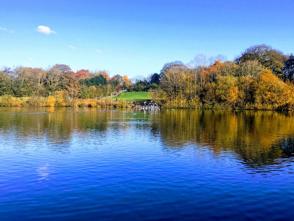 Lake at Chorlton Water Park
