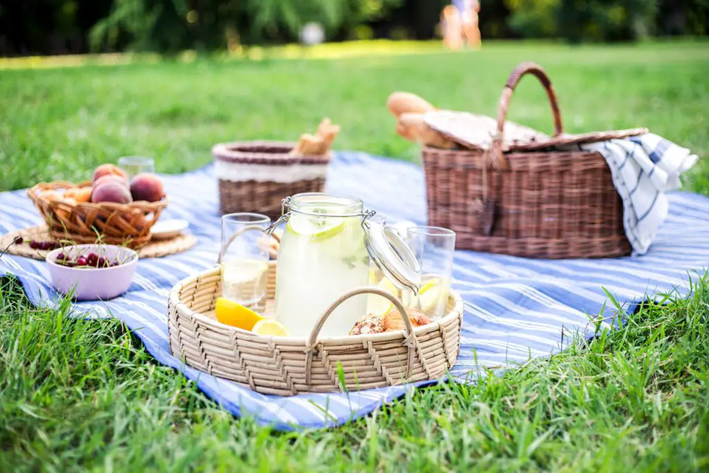 Vegetarian picnic