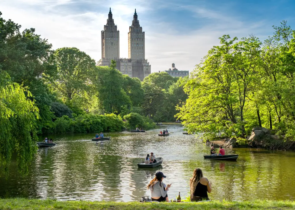 Central Park in New York City. Photo by Harry Gillen on Unsplash.