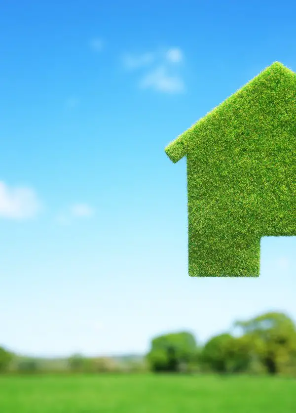 How to Reduce Your Home’s Carbon Footprint on a Budget