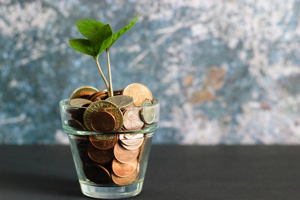 Money growing a plant. Photo by micheile dot com on Unsplash